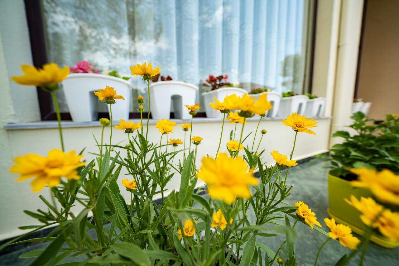 Hotel Villa Aljor Golem  Dış mekan fotoğraf