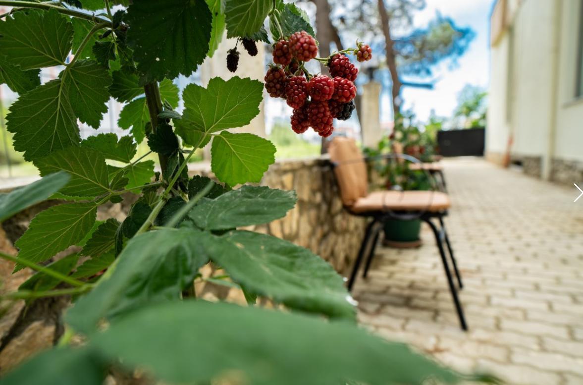 Hotel Villa Aljor Golem  Dış mekan fotoğraf
